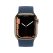 اپل واچ Stainless Steel Case Braided Solo Loop - تصویر 2