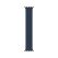 اپل واچ Stainless Steel Case Braided Solo Loop - تصویر 3